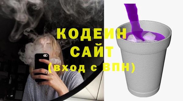 молекула духа Алзамай