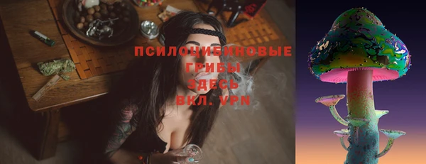 молекула духа Алзамай