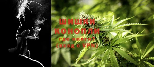 молекула духа Алзамай