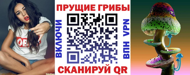 Псилоцибиновые грибы Magic Shrooms  Далматово 